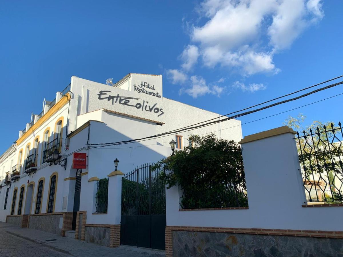 Hotel Entreolivos Ел Педросо Екстериор снимка
