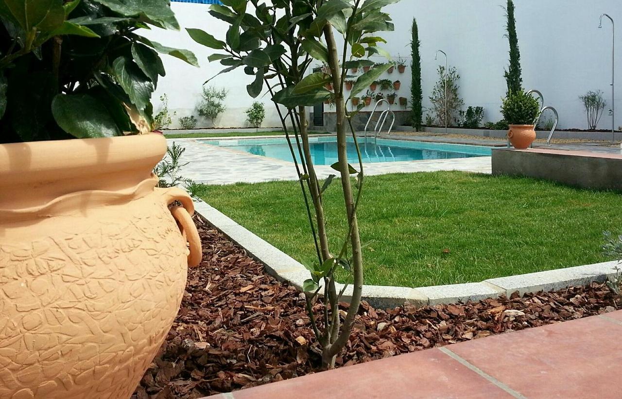 Hotel Entreolivos Ел Педросо Екстериор снимка