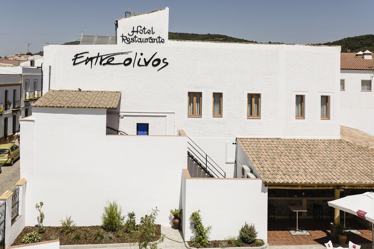 Hotel Entreolivos Ел Педросо Екстериор снимка